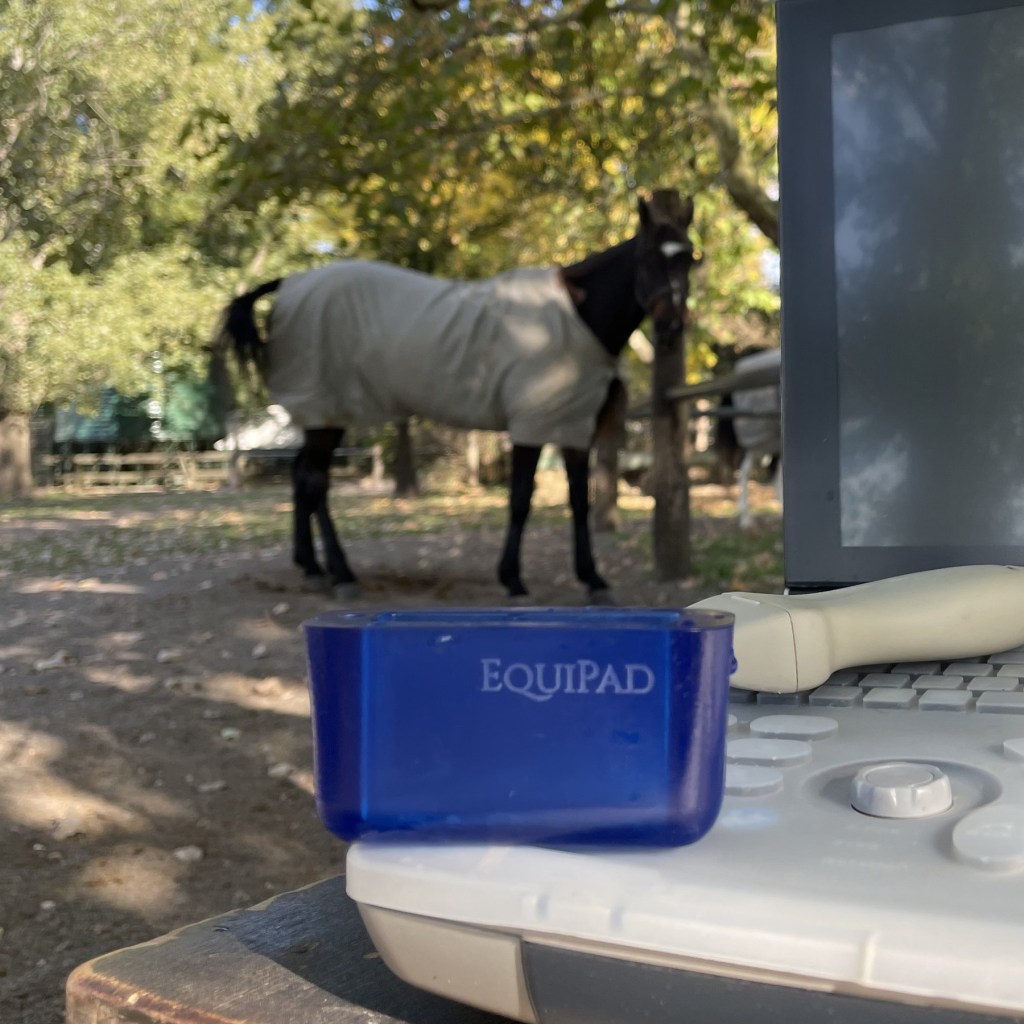 Equipad High Quality